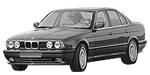 BMW E34 B238E Fault Code